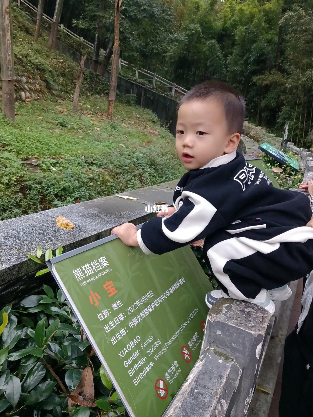 今日份户外