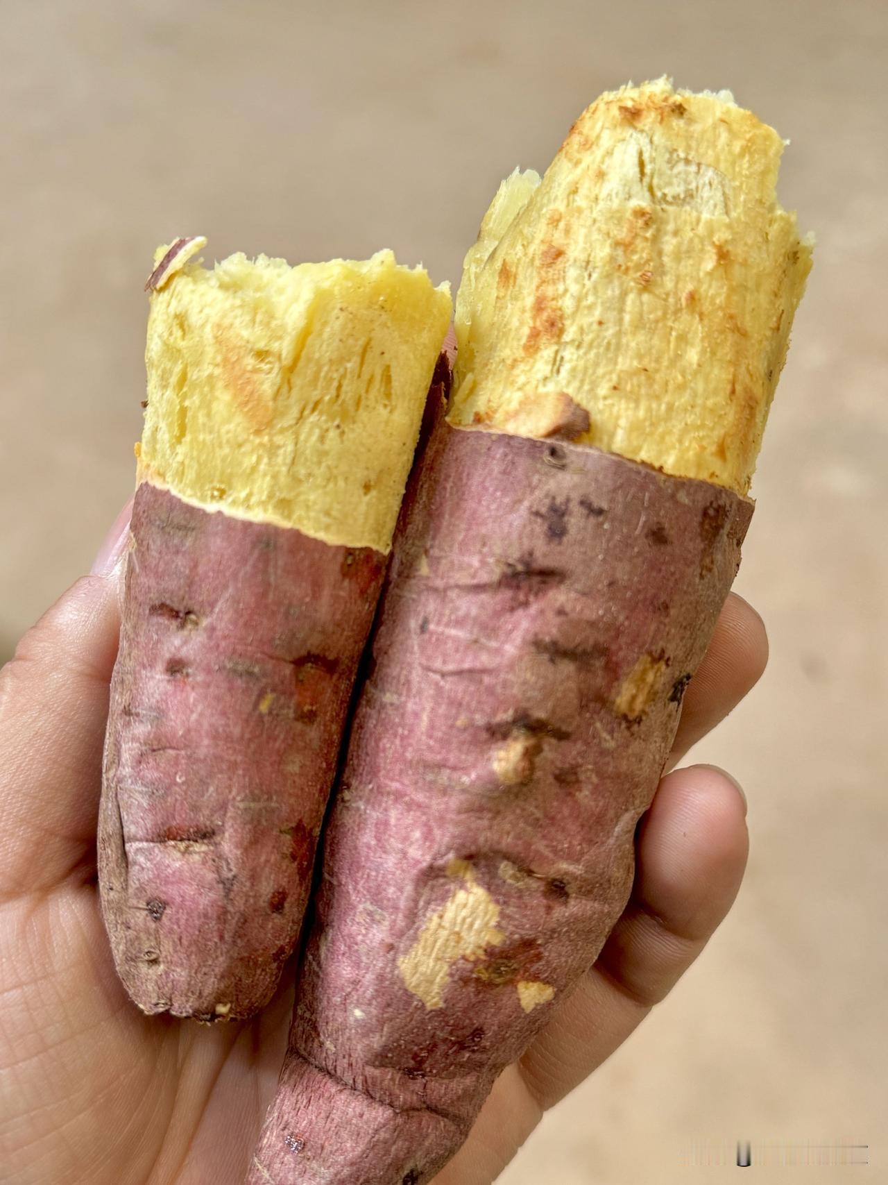 被这个板栗红薯惊艳到了
粉粉糯糯的，怎样做都好吃
蒸着吃是很粉很糯很香带不腻的甜