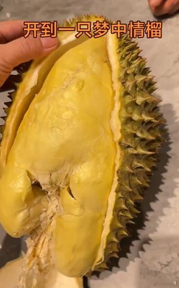 这榴莲怎么还住上单间了别人的榴莲报恩，我的榴莲给核买房，果肉连个配角都算不上，主