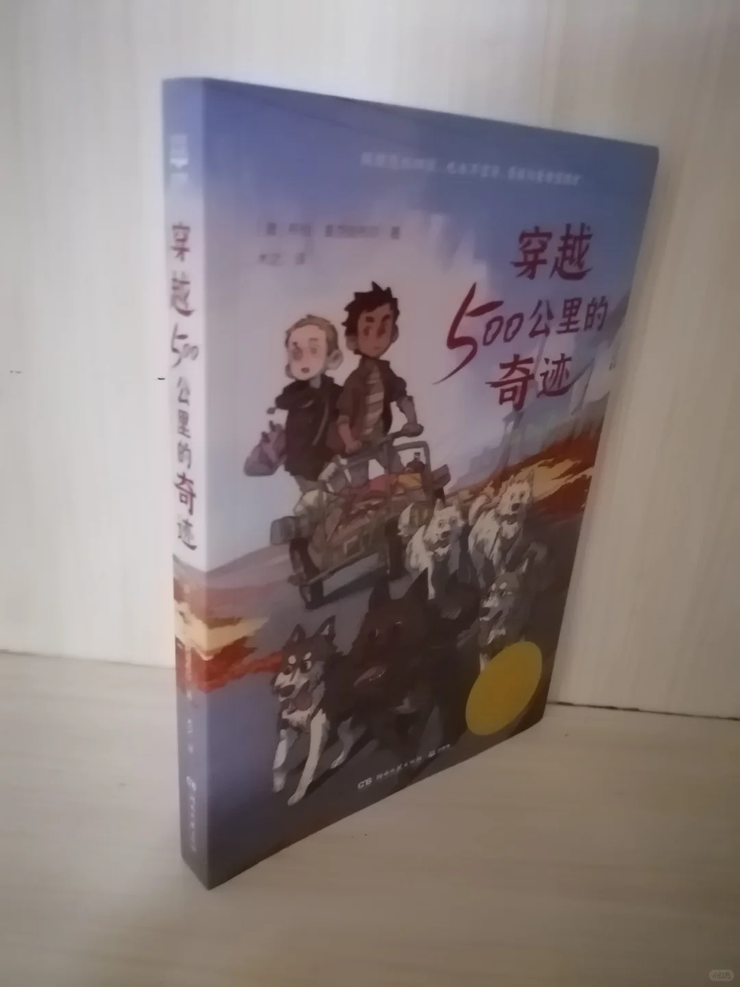 逆境中的生存挑战与希望