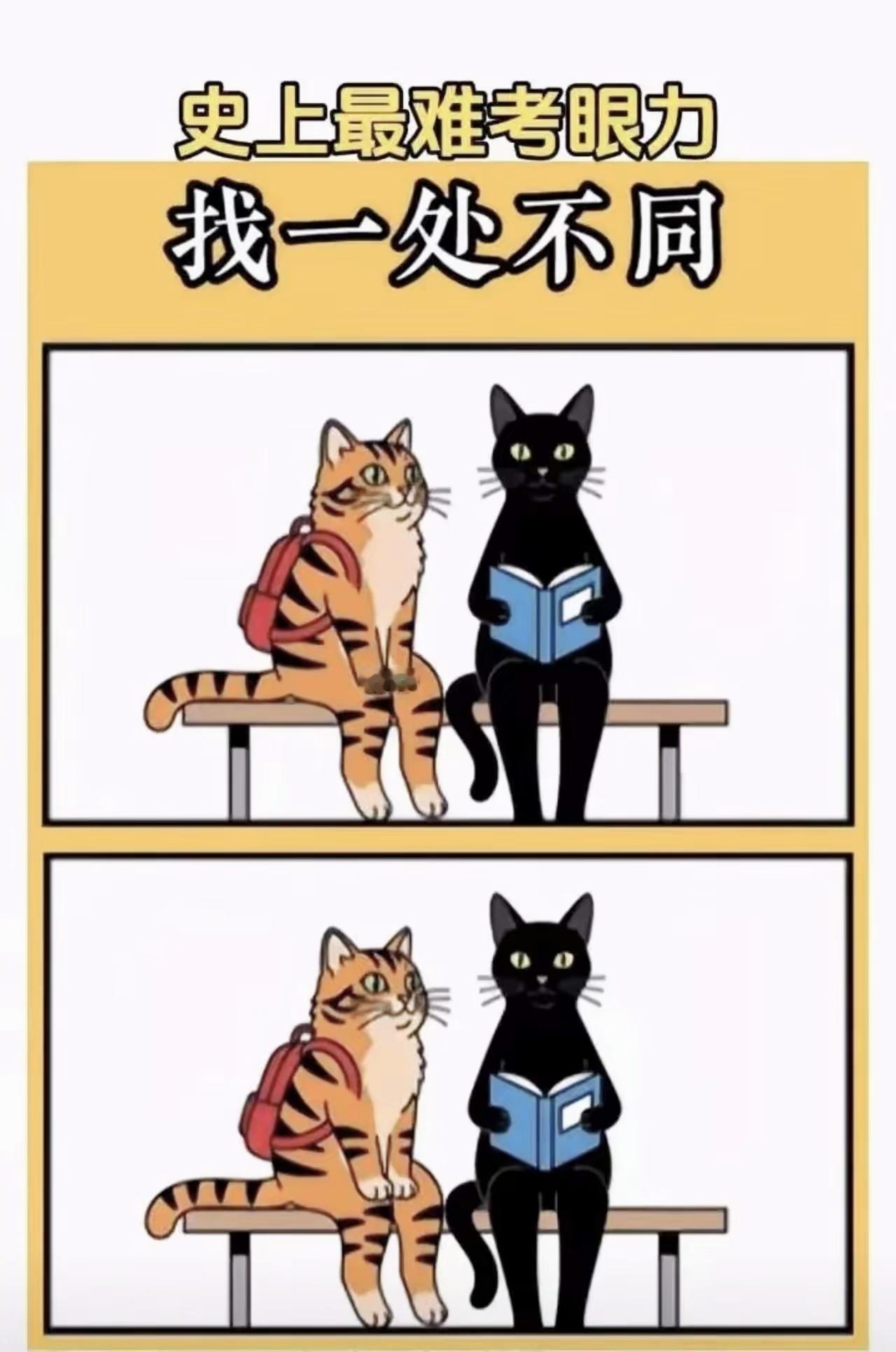 盯着猫咪图看半天只看见一样，这一处不同究竟藏在哪？

全民找茬 趣味测试
