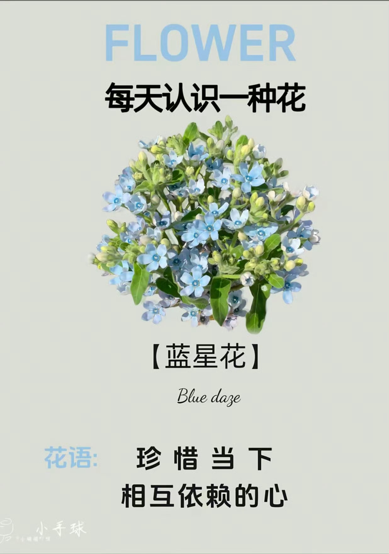梓渝七夕手捧花求婚男友感词条上榜后姐夫火速上线发博认领这跟官宣有什么区别