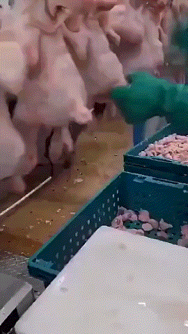 屁股去哪了？