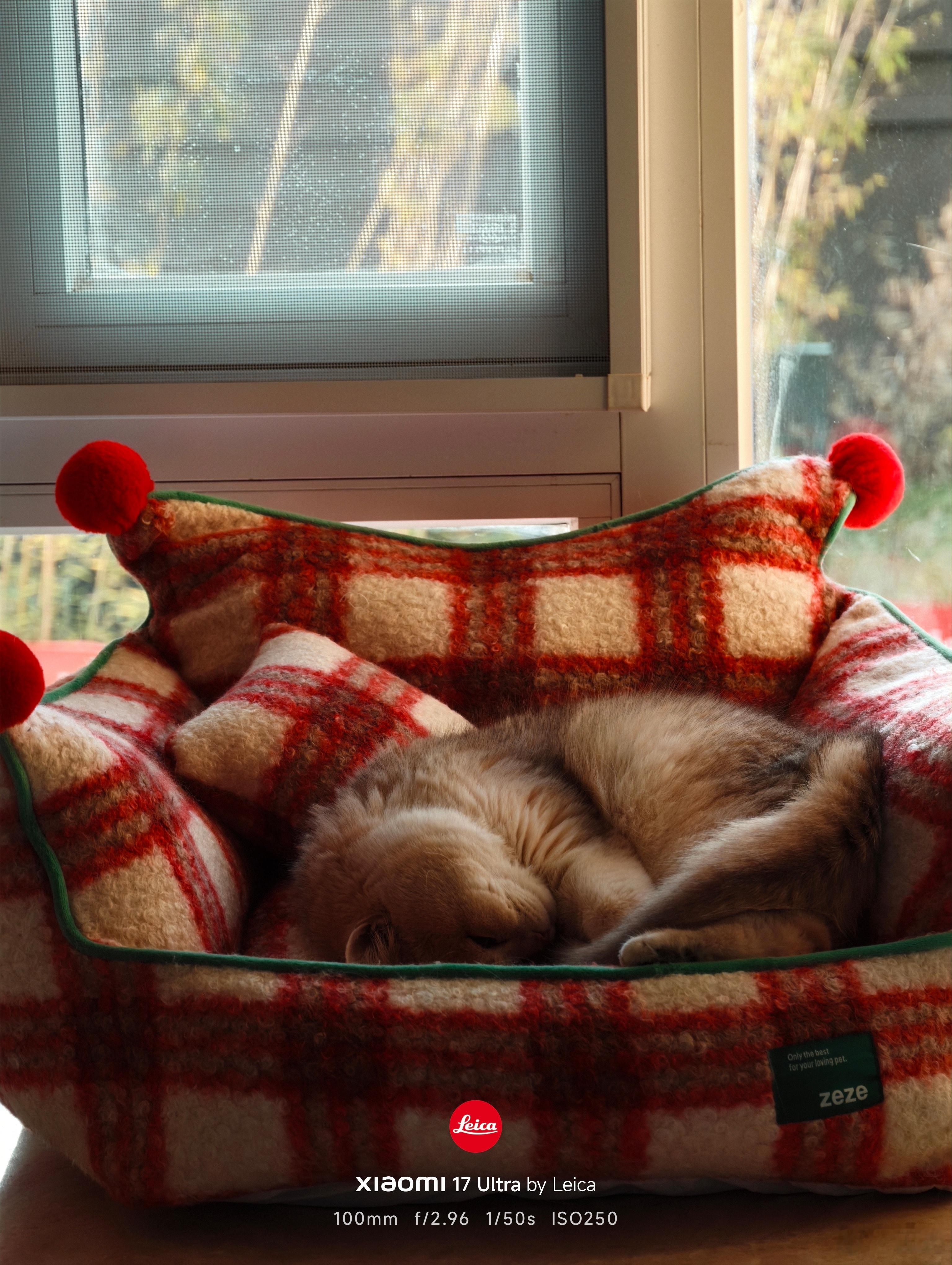 冬日暖阳，2025年的最后一个周末你怎么过的？我在追唐诡三