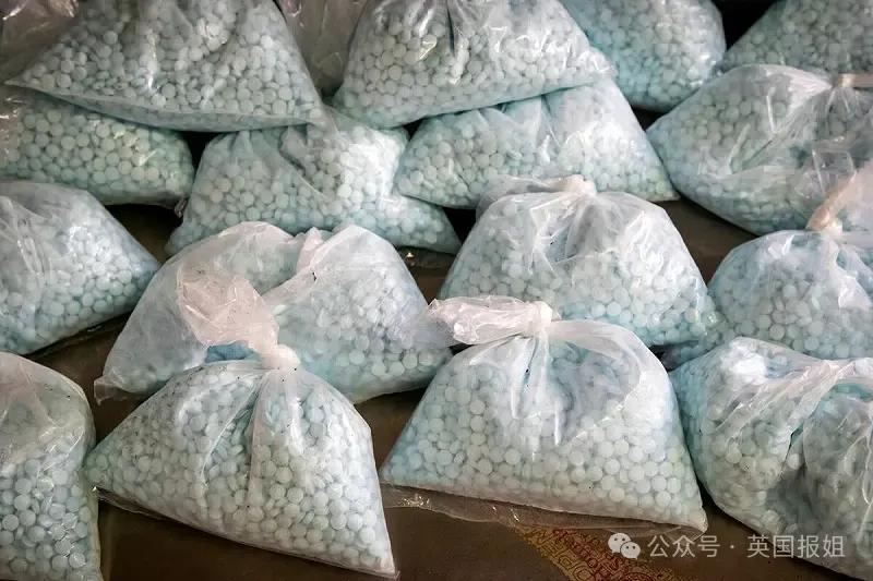 北大学霸成全球通缉超级毒枭！娶拉美黑帮千金打造犯罪一条龙帝国
