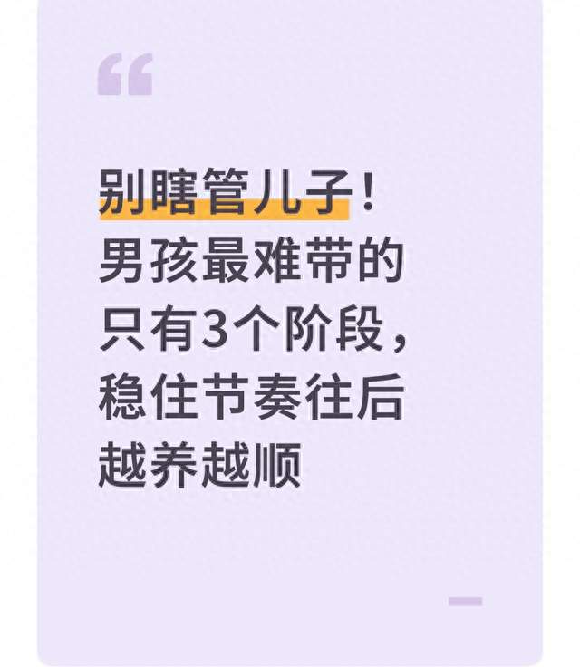 别瞎管儿子！男孩最难带的只有3个阶段，稳住节奏往后越养越顺