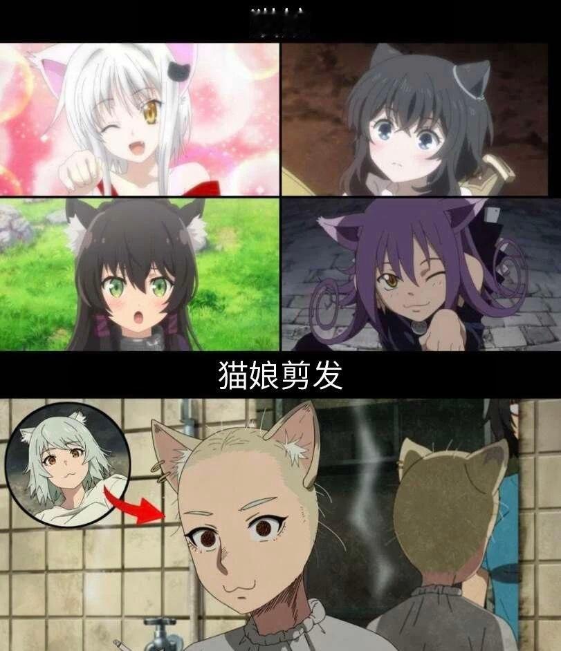补药啊 