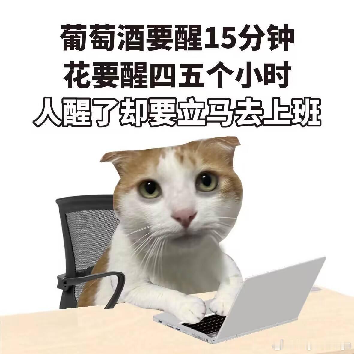 兄弟们醒醒，该上班了[二哈] ​​​