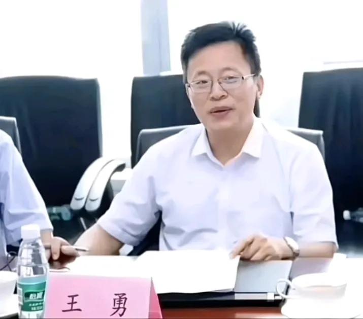 王勇教授胜诉了，为王教授高兴之余还有些担心，换句话说，如果不是王教授遇到这样的问