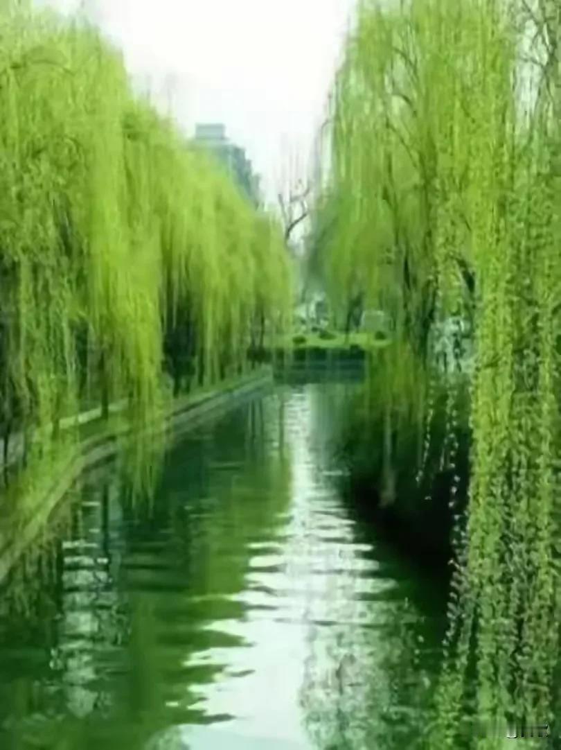 上联:秋谢花词冬续墨
下联:春吟柳赋夏抚琴
横批:雅韵流年