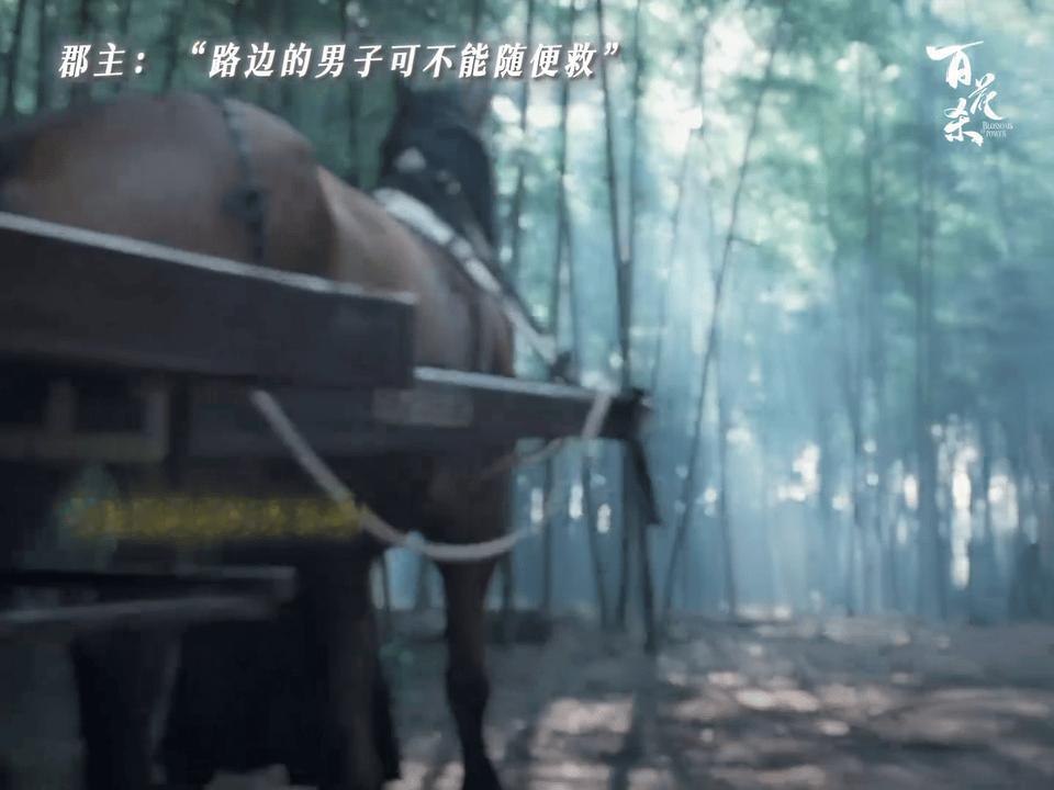 孟子义新剧好美的脸好冰冷的话 孟子义的台词功底进步太大了！那种不带一丝温度的冰冷