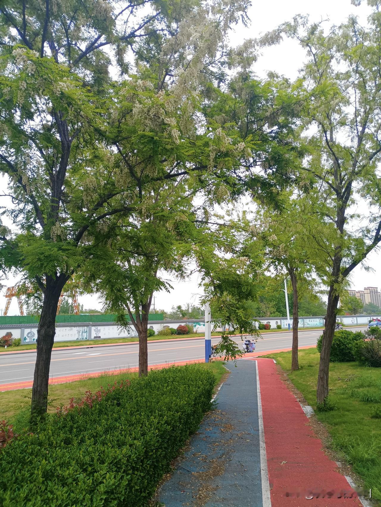 佛山的一个已婚女人得了一种病叫“钟情妄想症”，又叫桃花癫。
她看上了一位有家室的