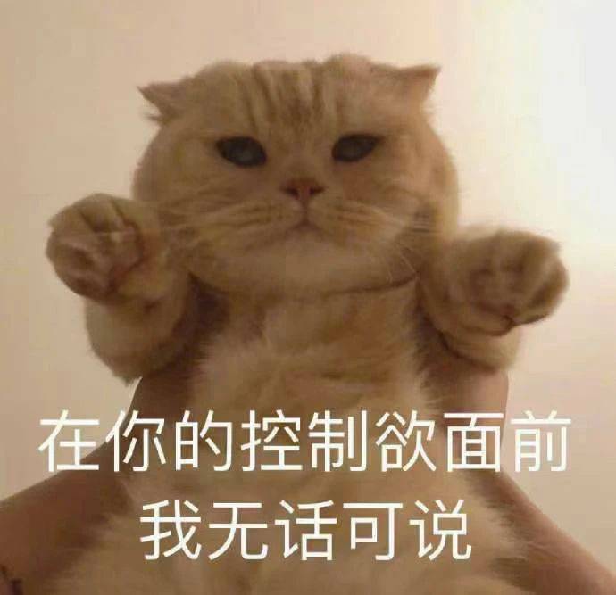 忙碌了一天的满师傅打开手机看到一长串的被举报记录 直着的腰终于弯了 