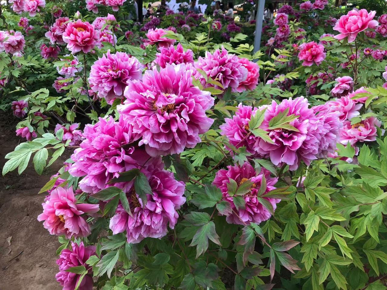 【04.22修身心语】
您好！
低谷期最大的清醒：贵人不帮弱者，财神不渡怨妇。