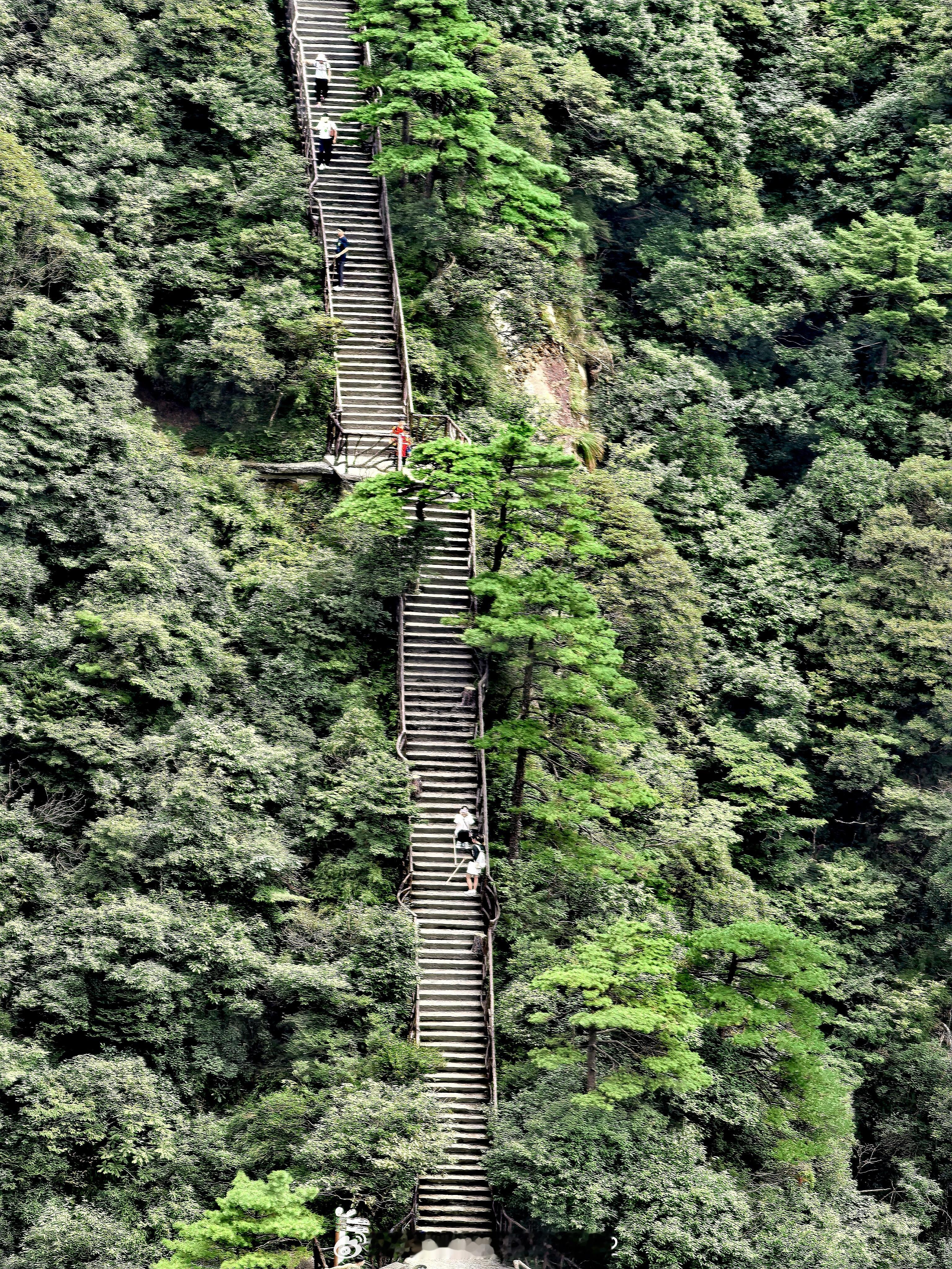 #a股# 今天上午盘没有出现放量去攻击～下弯的月线！昨天反弹去撞了月线压力，无奈