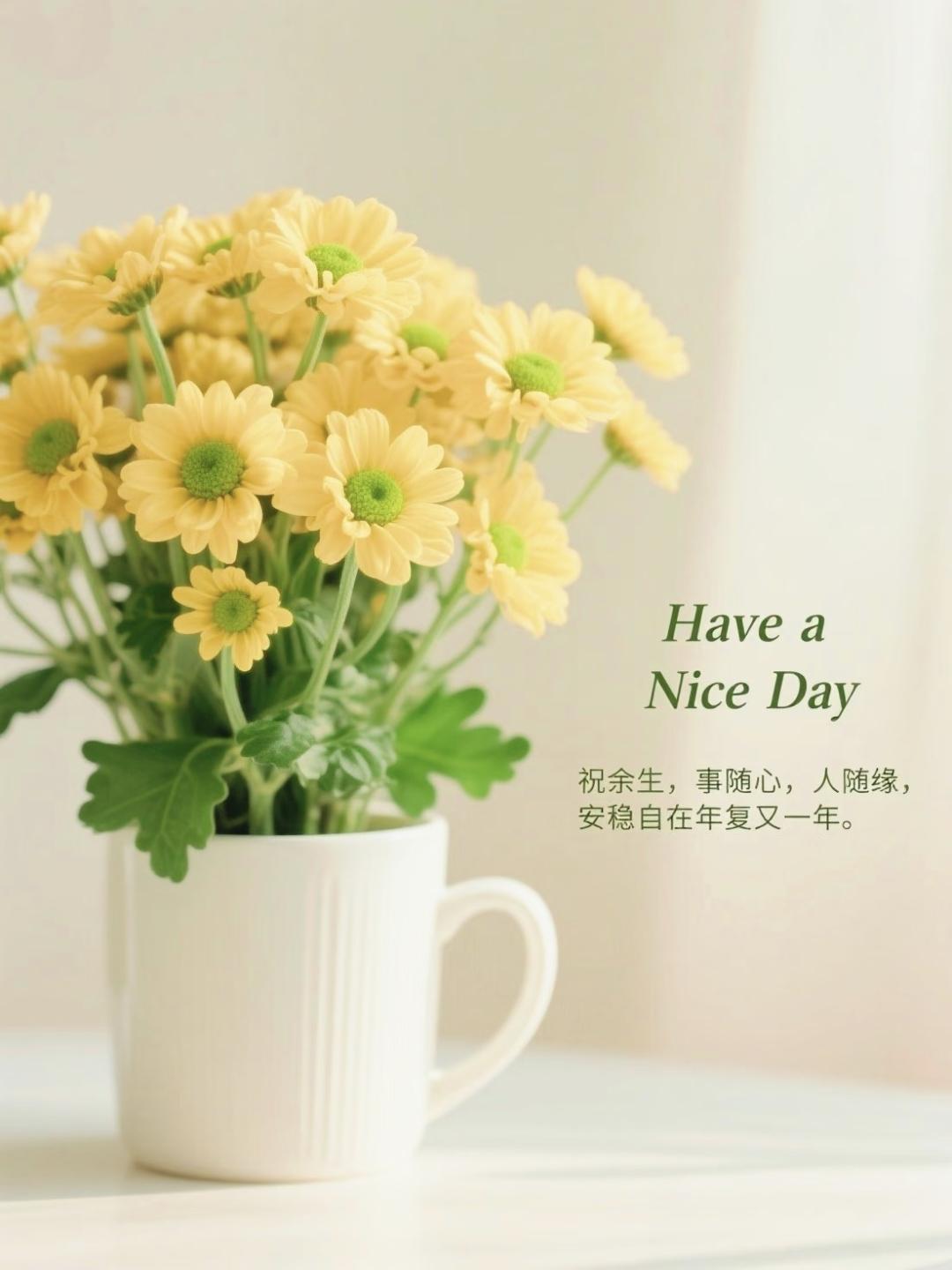 很通透的一段话:
不要再和任何人生气了，搭上了自己的健康和快乐，倒不如慢慢放下一