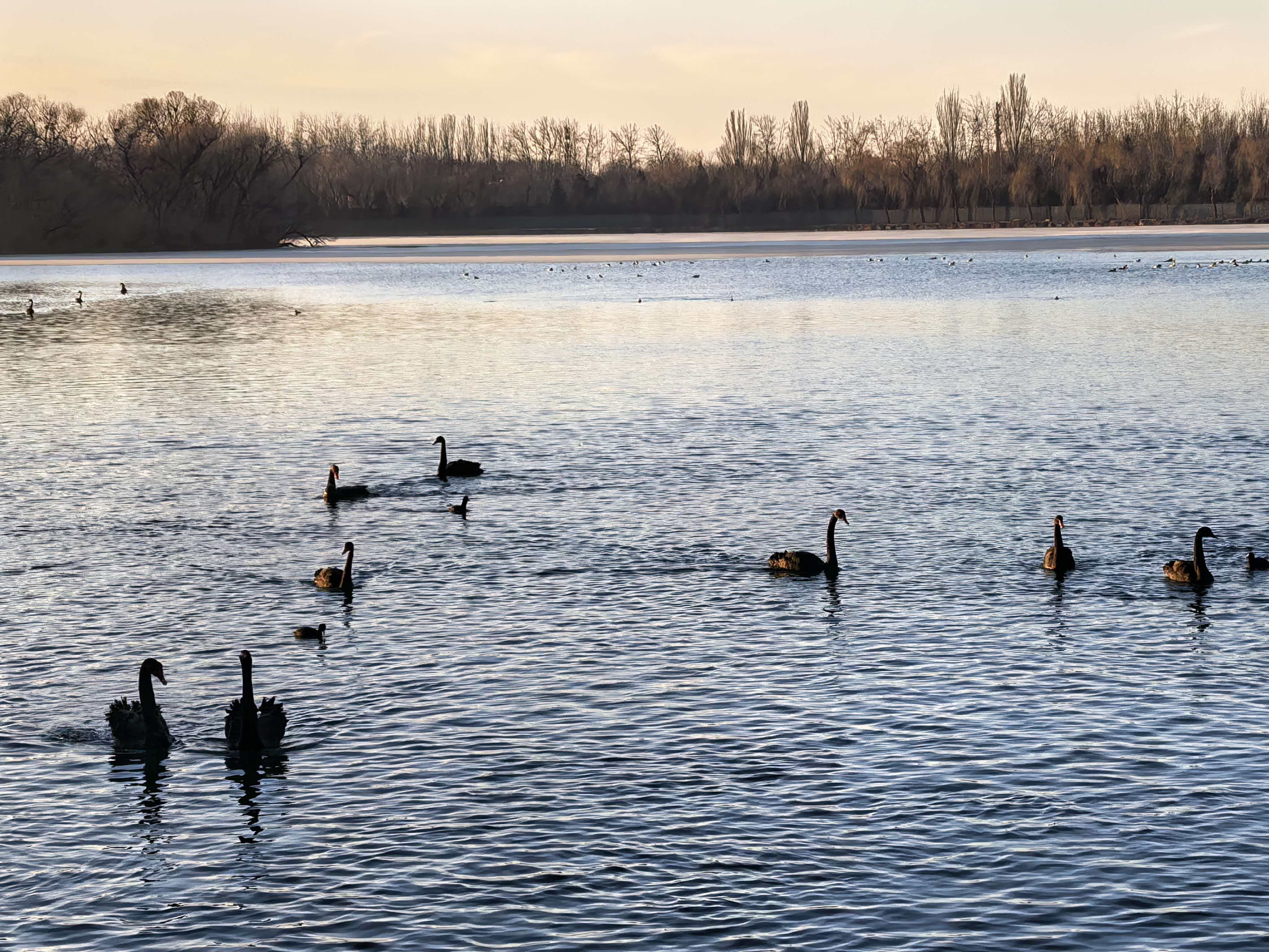 S-分享一组早上颐和园的美照。这几天空仓，每天早上去走走，让自己转移一下注意力。