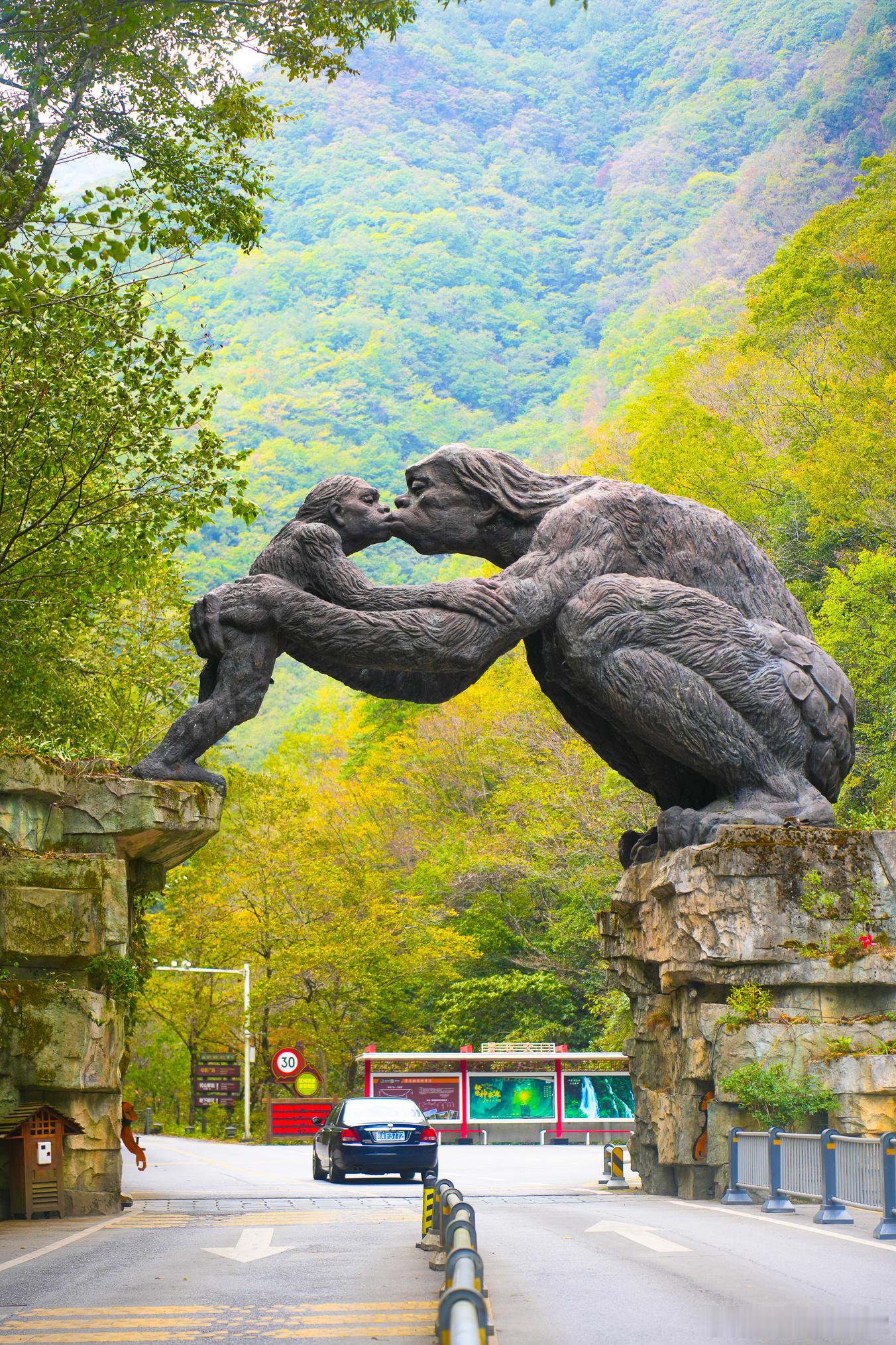 神农架官门山 | 一场奇幻的自然之旅当你踏入官门山，就仿佛进入了一个梦幻的世界。