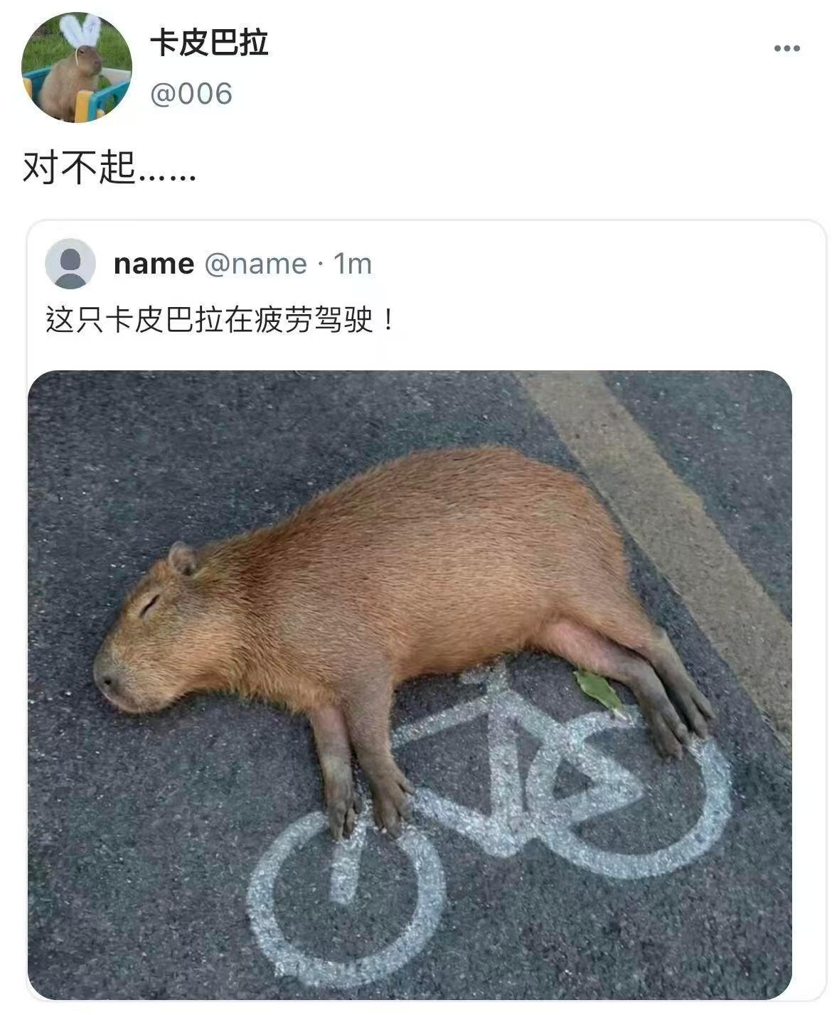 上网不为别的，就为看看治愈我的小动物们 