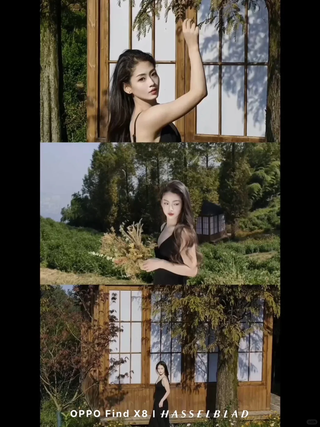 三拼live图带给我的秋日故事感🔅🌻