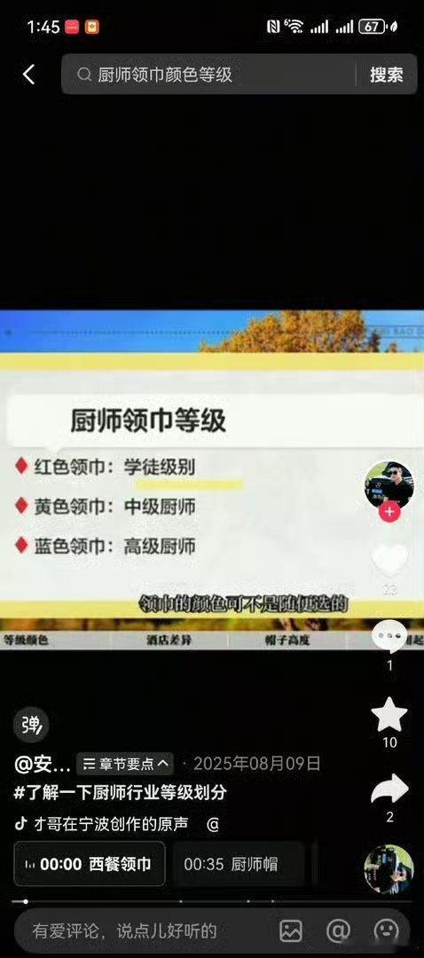 有些人的智商是不是插地里种麻椒了，连厨师领巾都不认识。红领巾不止一种，厨师也是有
