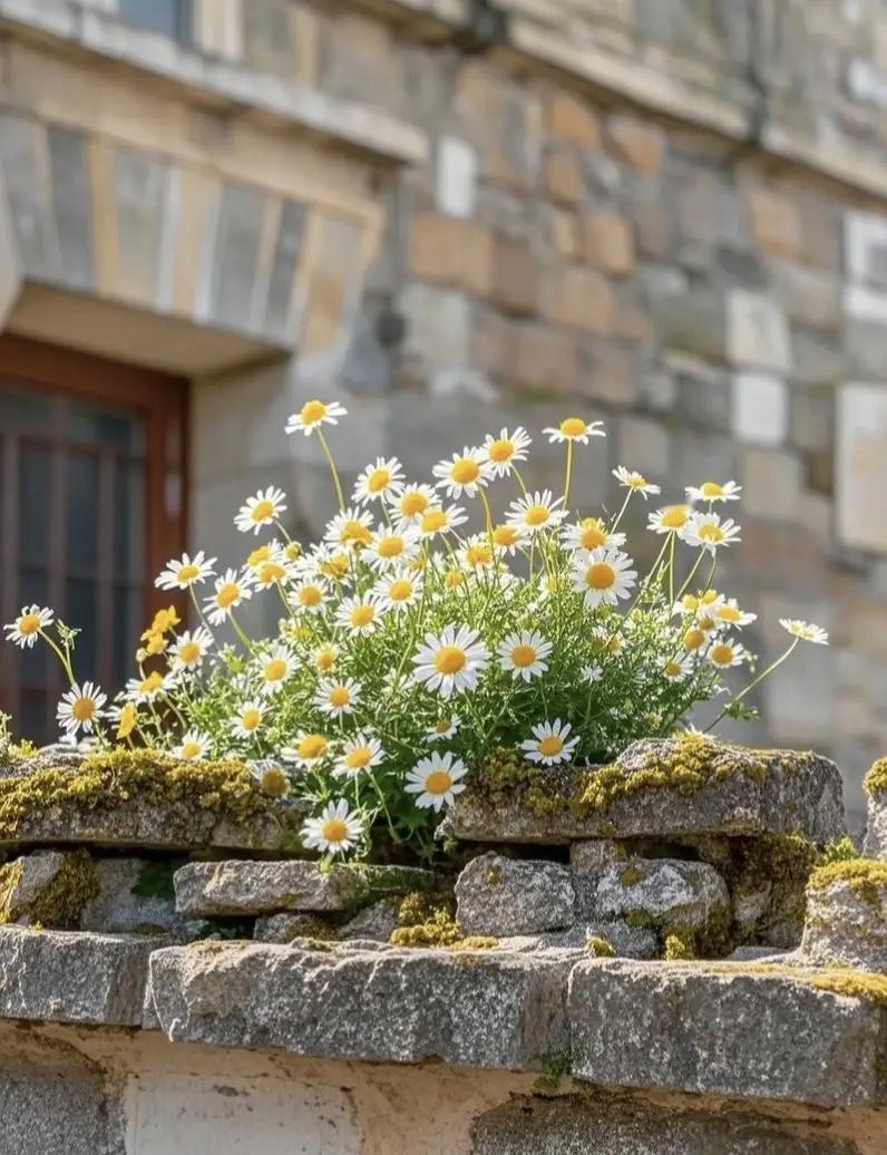 一段非常实在的话：
“人过中年，不管是谁，​一旦孩子的人生大事解决了，​思想没有