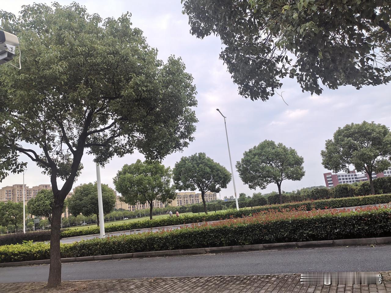 这几天网上发生的事情还真不少。第一、关于英语作为主副科的讨论，胡锡进怼汤家凤，项