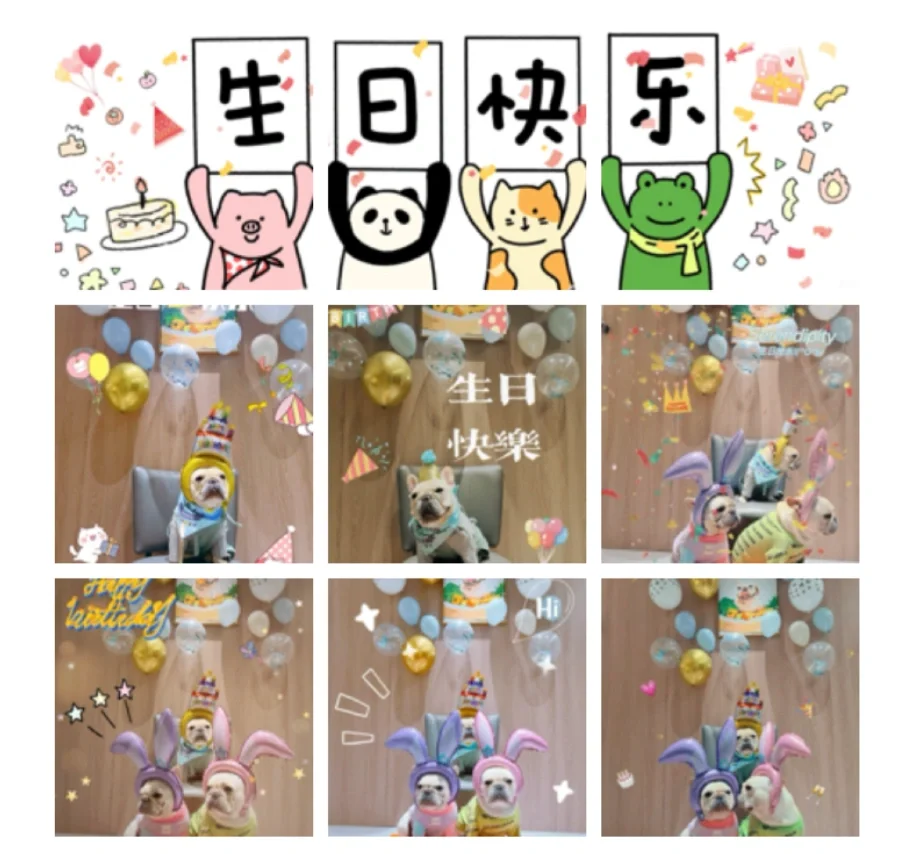 我的修狗4岁啦～