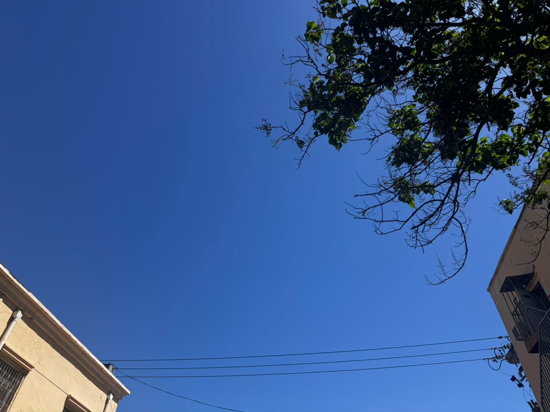 天儿真好