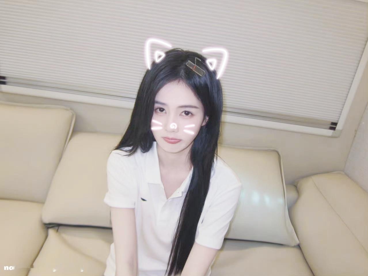 小猫电台聆听你的心事白鹿 😽白鹿王韵娜  专栏 · 𐙚⊹小菠甜饼✉~★°