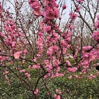 我的今日状态：😁轻松愉快
我这里的天气：☀️晴天