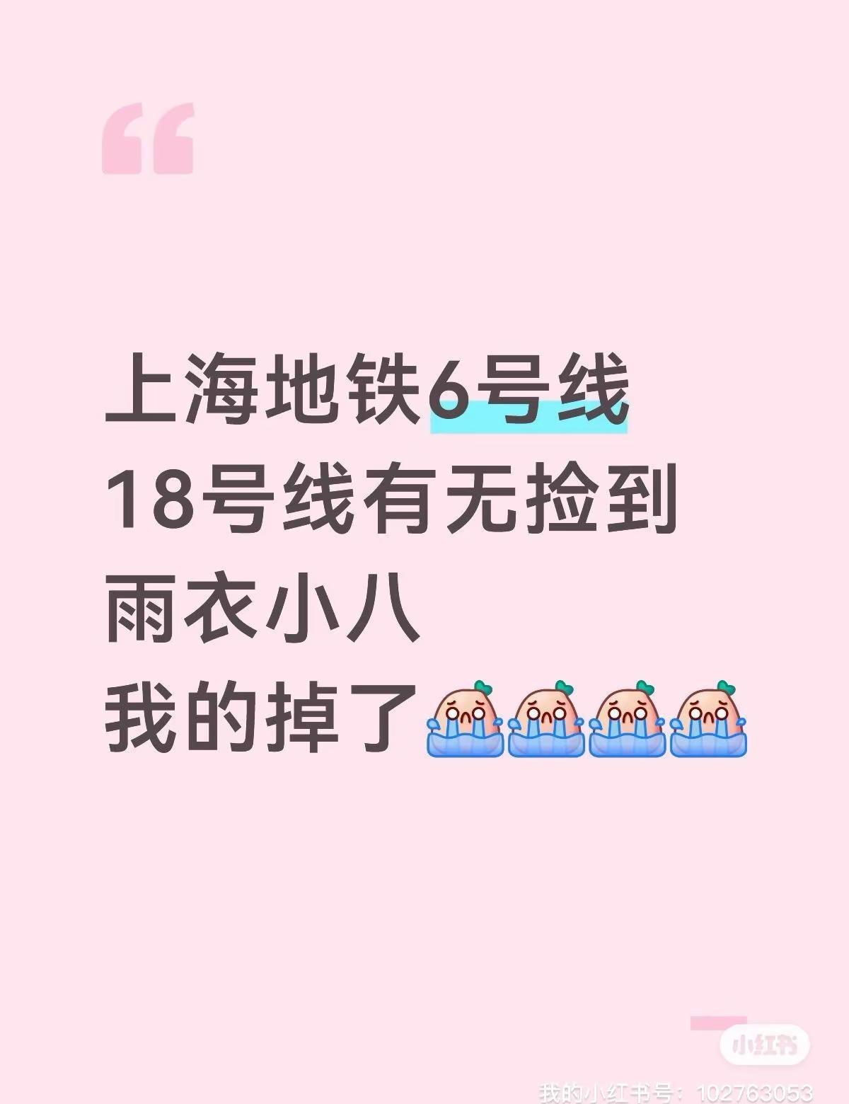 谁捡到我的孩子了么呜呜呜呜。上海 chiikawa 走失儿童 小八