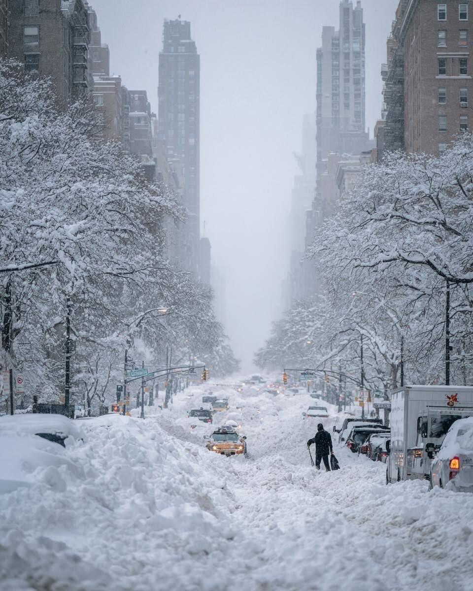 上周我去纽约出差，刚到就遇上了一场大雪。清晨出门，目之所及皆是银白，可奇怪的是，