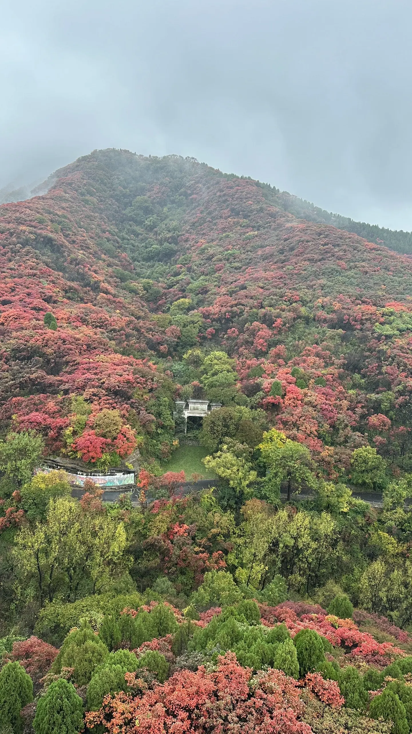 就算下雨 满山红叶也很治愈。