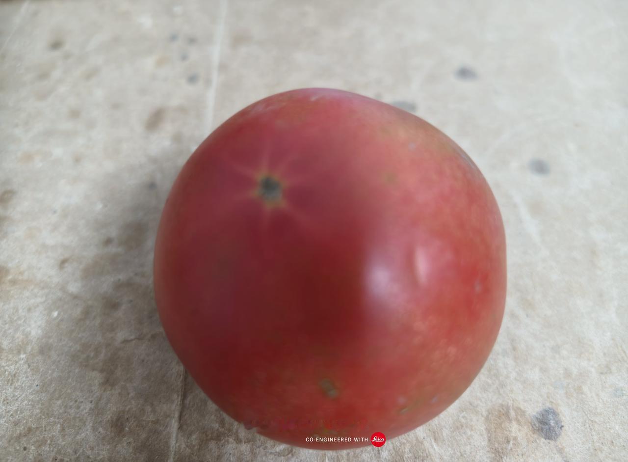 Luna Ultra 小试