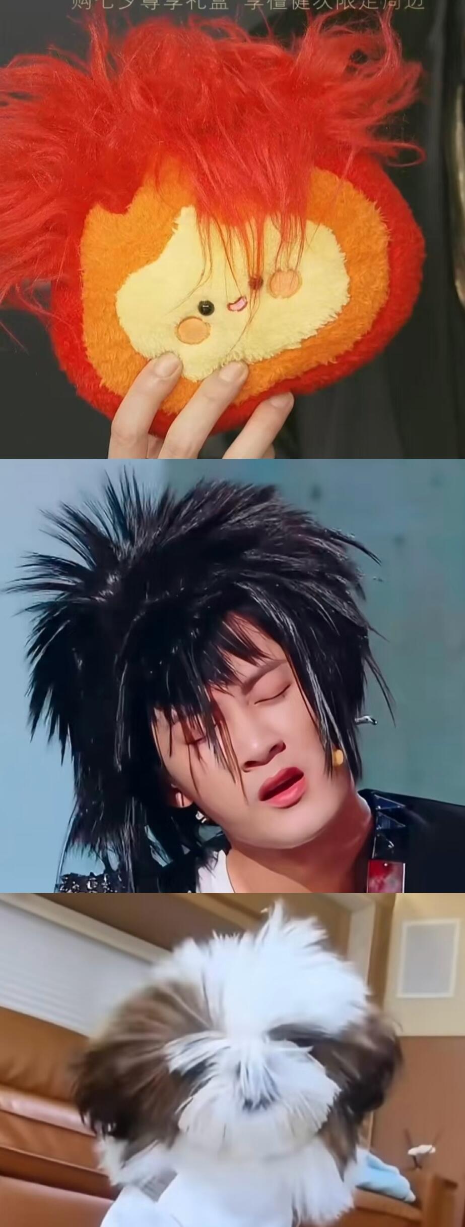 葬爱家族，一家三口整整齐齐！