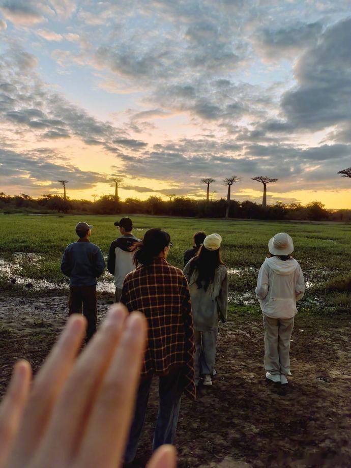 花少镜头里的彼此七老童心最新合照花少镜头里的拍照时刻，夕阳、独特的树、水洼还有认