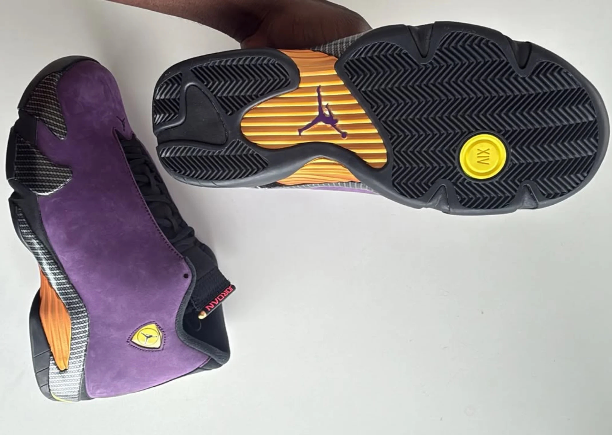 Nigel Sylvester Air Jordan 14 F&F  WNBA全