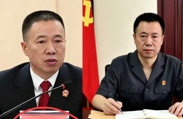 这波操作属实让人开了眼界。一边在成都成华区法院端坐院长席，敲槌审案，一边偷偷挂靠