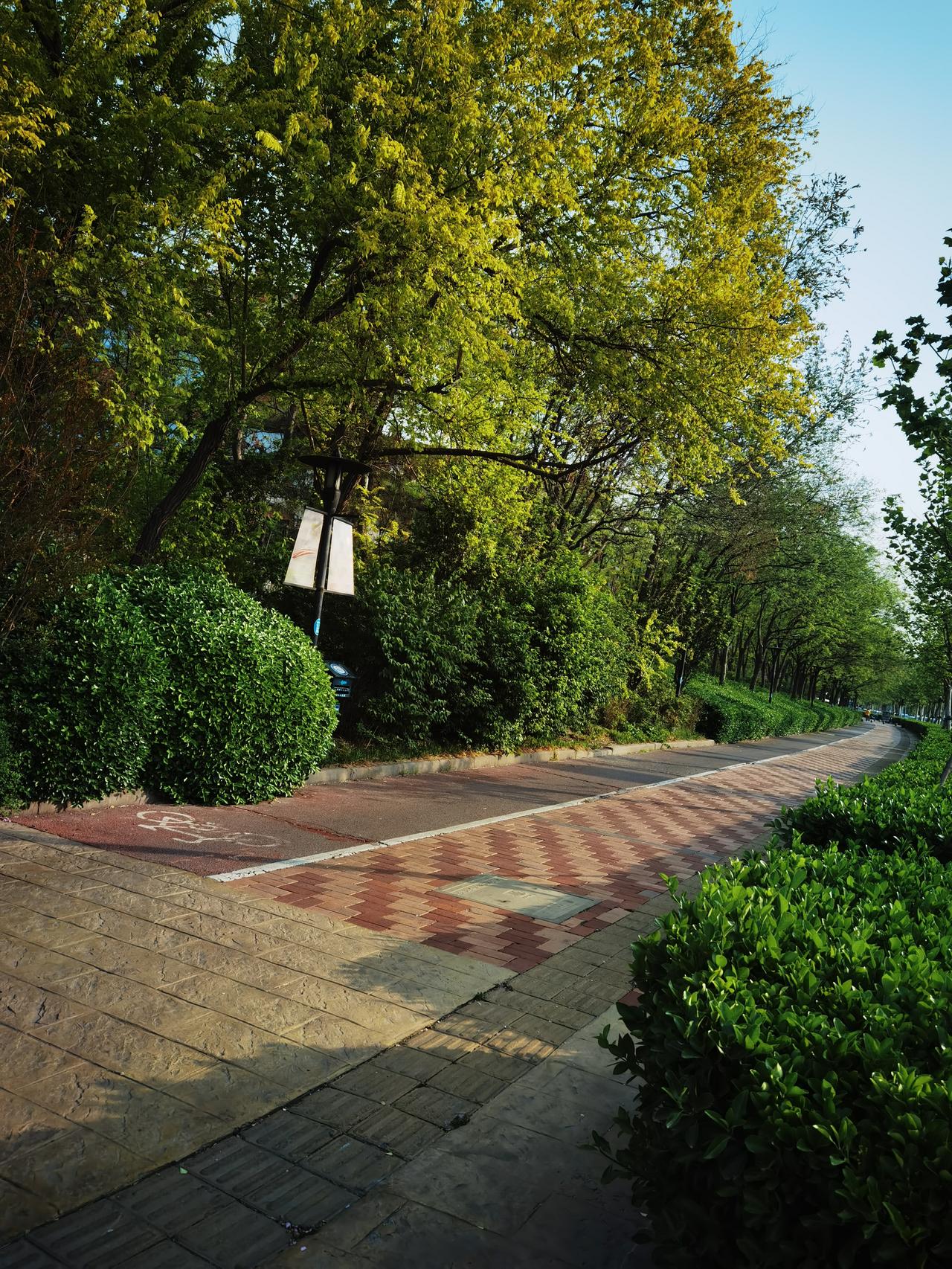 晒图笔记大赛清早送孩子上学拍的图片