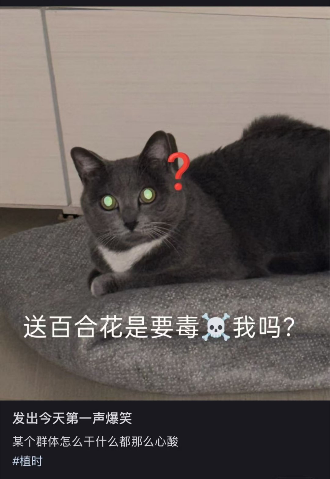 我笑得好痛苦 