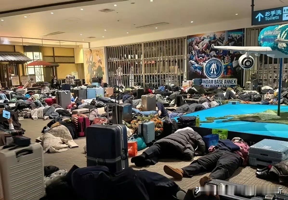 喊着必须派包机的北海道游客是真把自己当巨婴了！当初劝着别去日本旅游，偏不听非要往