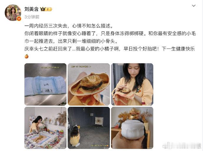 刘美含的宠物蜥蜴去世 发博称宠物蜥蜴小橘子去世一周三次失去太痛心💔 小橘子闭着