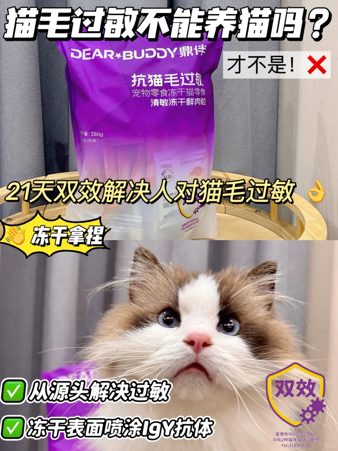干货分享 | 猫毛过敏就不能养猫吗？