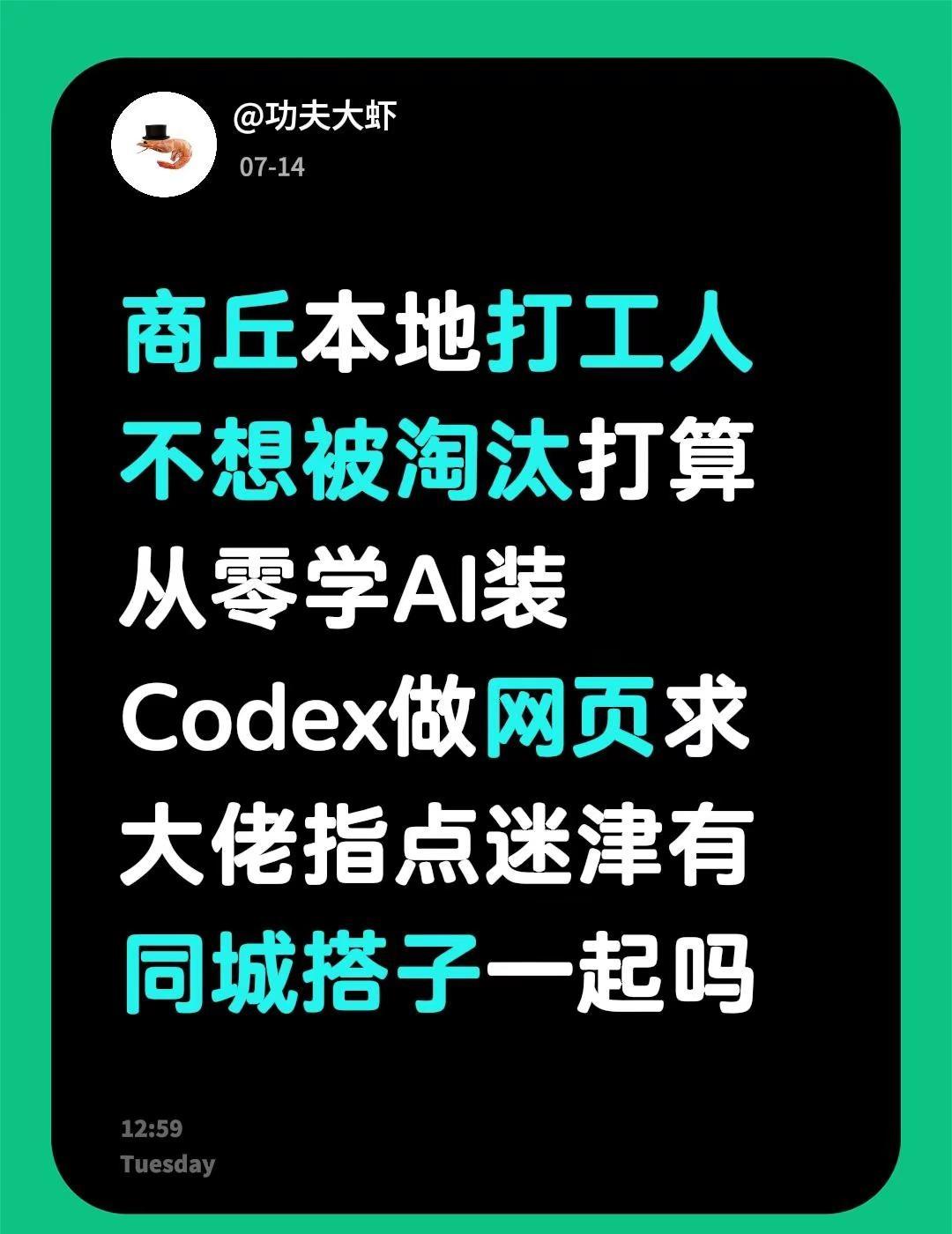 商丘本地打工人不想被淘汰打算从零学AI装Codex做网页求大佬指点迷津有同城搭子