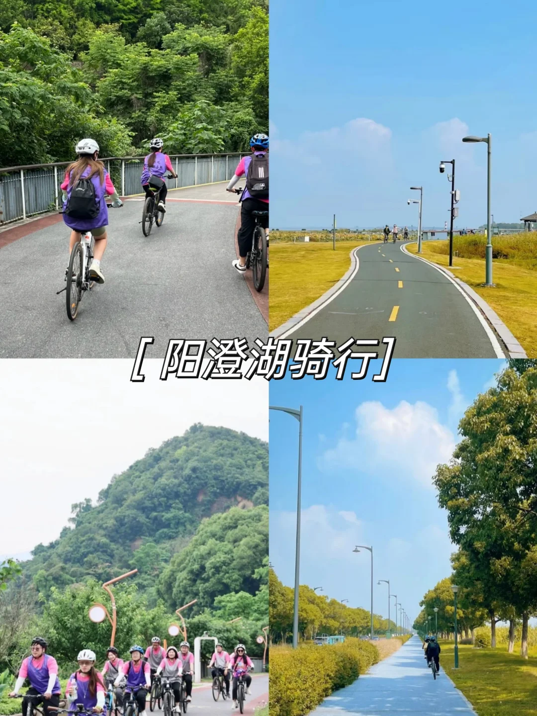 刚从阳澄湖团建回来!我踩过的雷 大家别踩了