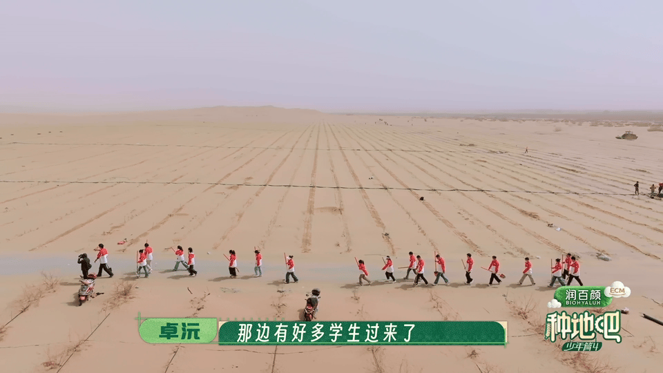 看种地吧种玫瑰的后劲有多大种地吧 谁看完还能平常心啊，玫瑰花海配上满满的心意，久
