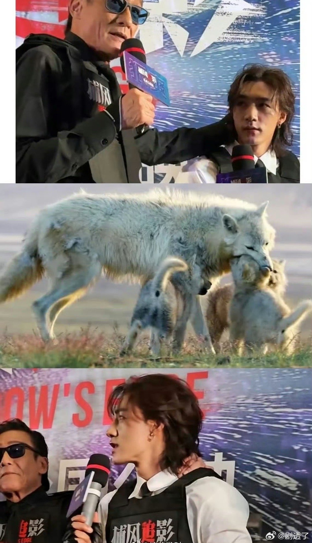 梁家辉拎此沙像狼王叼崽 难怪说他们是狼塑天菜！梁家辉对次沙的小动作全是“狼王式掌