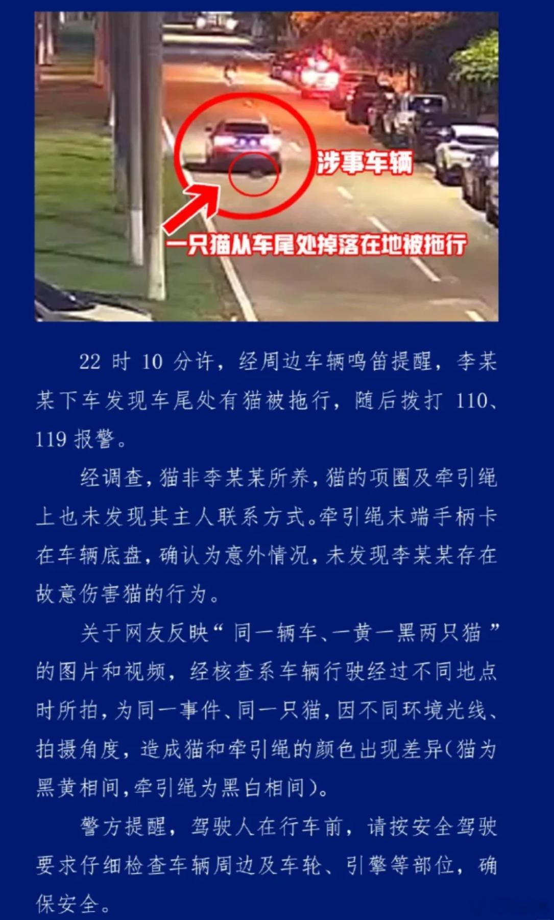 海口宝马车拖行猫咪让我看到网络判官的可怕...事情调查结果还没出来之前：1.开盒