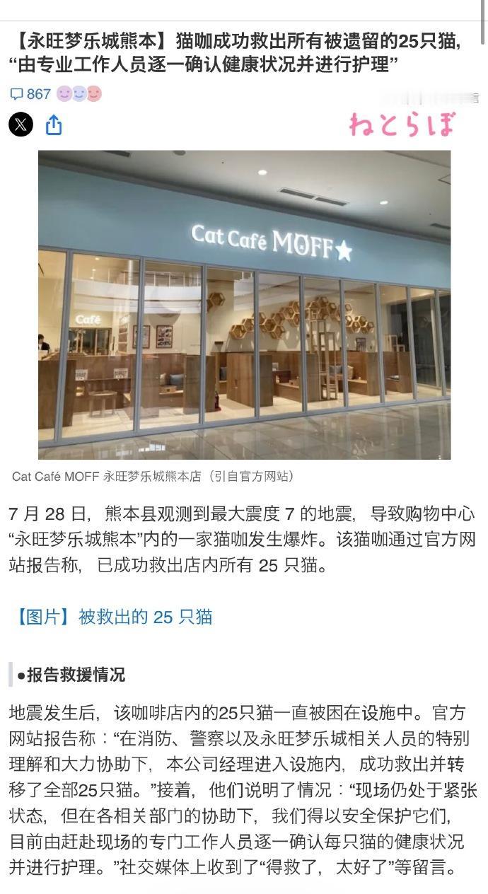 小日子也开始救猫了，跟他美爹学得可真好。
熊本地震后，在爆炸的商场里，他们救出了